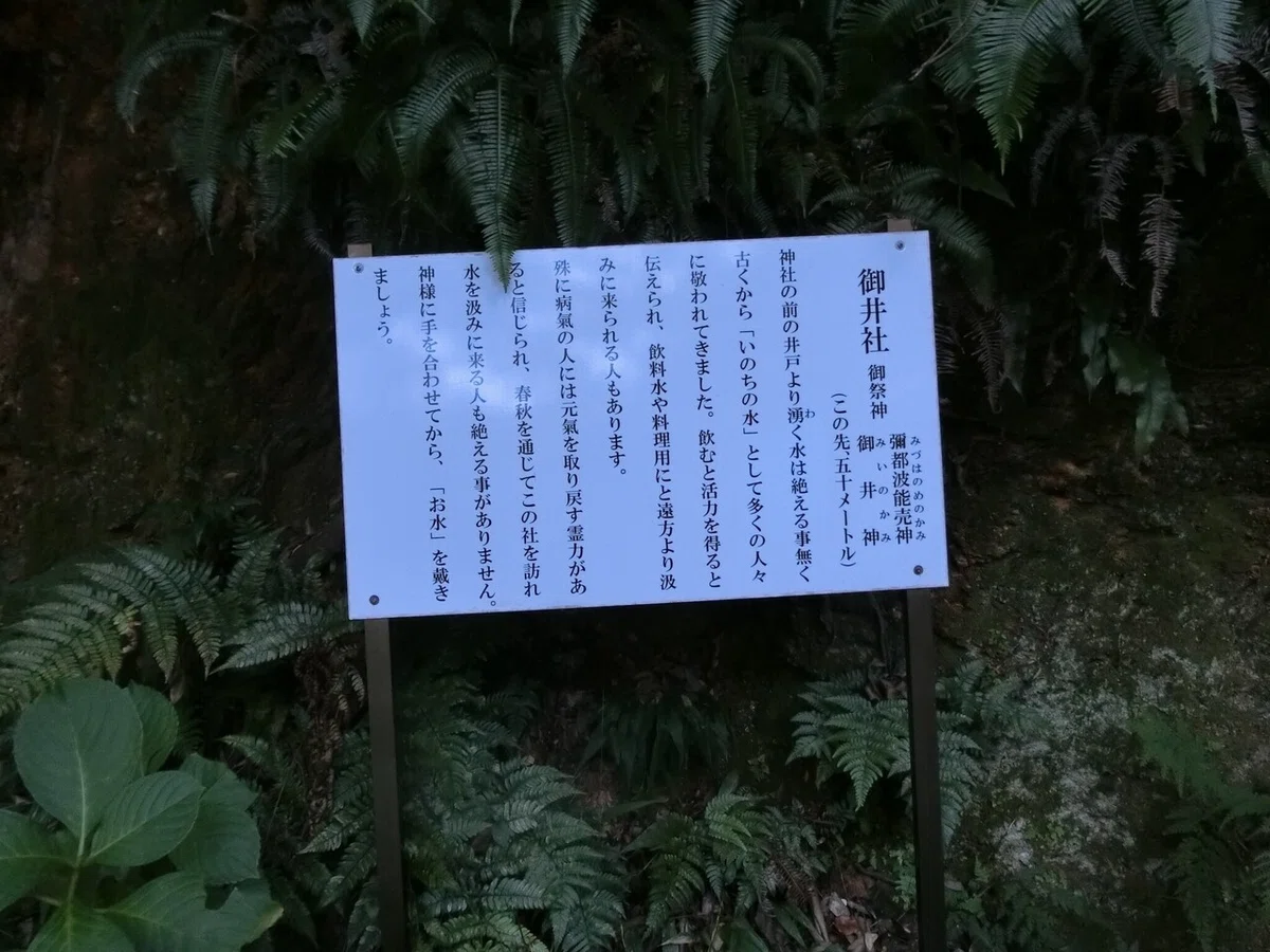 画像19