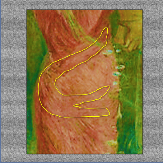 ワタクシ流☆絵解き館その96 青木繁「わだつみのいろこの宮」鰐な