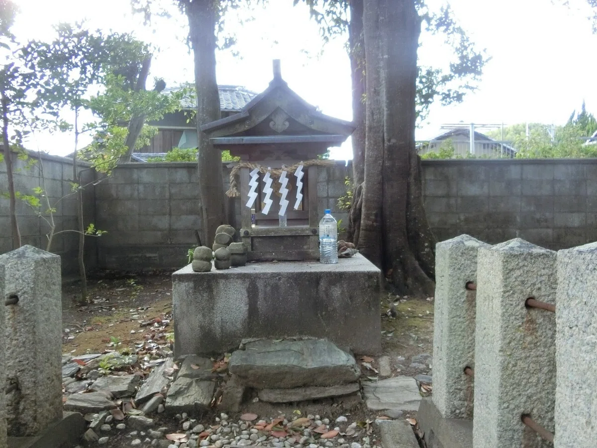 画像28