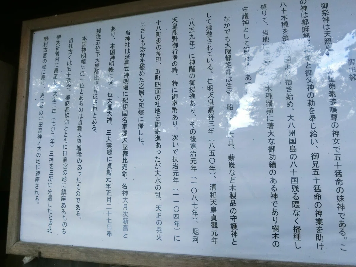 画像37