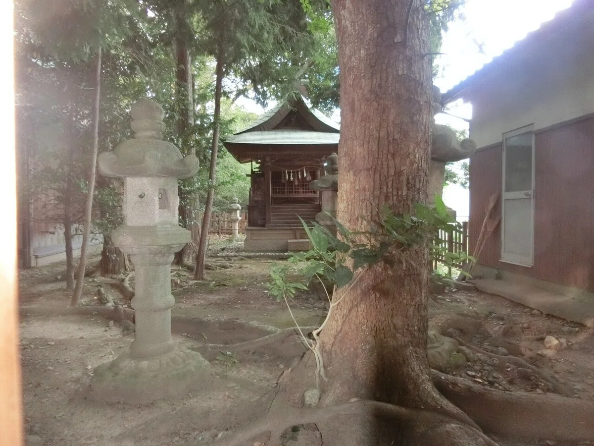 画像40