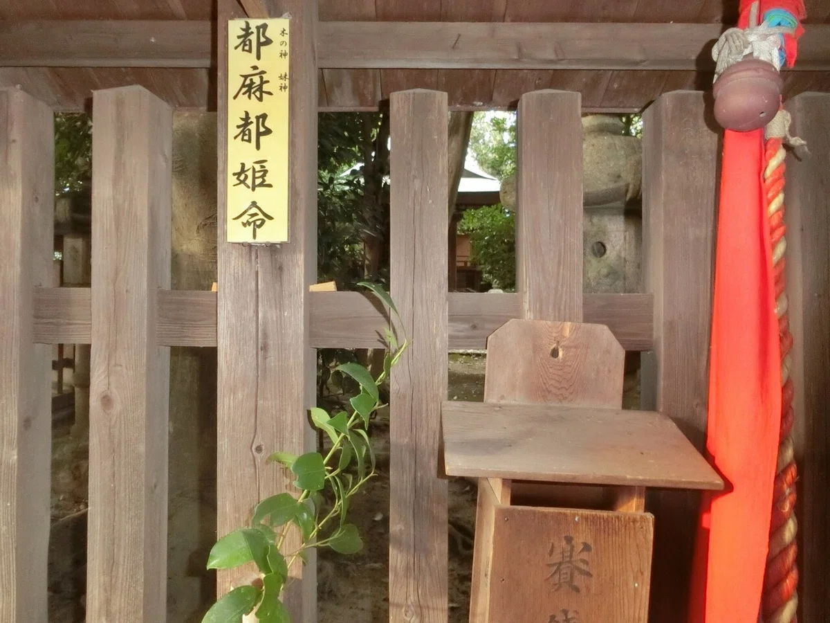 画像41
