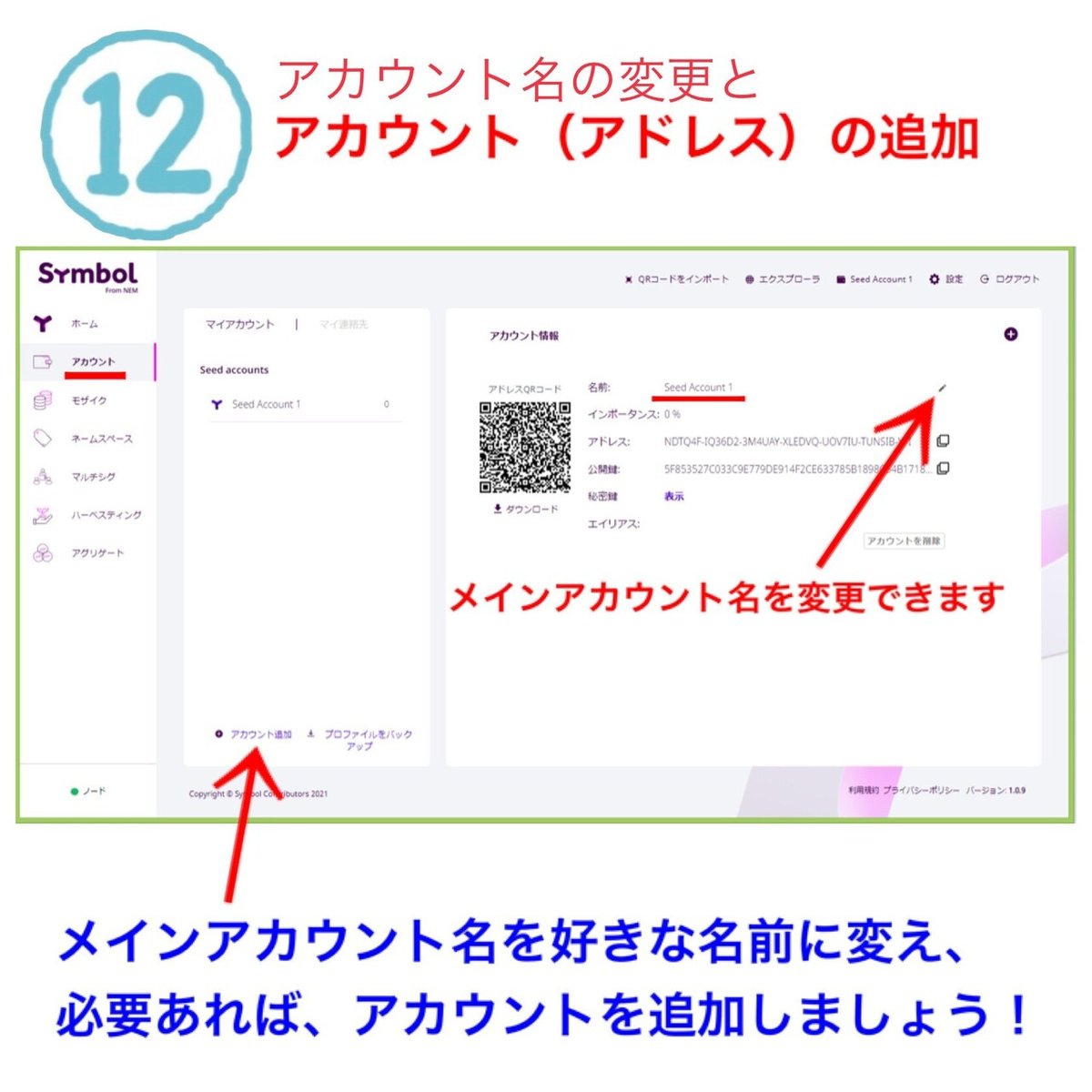 画像12