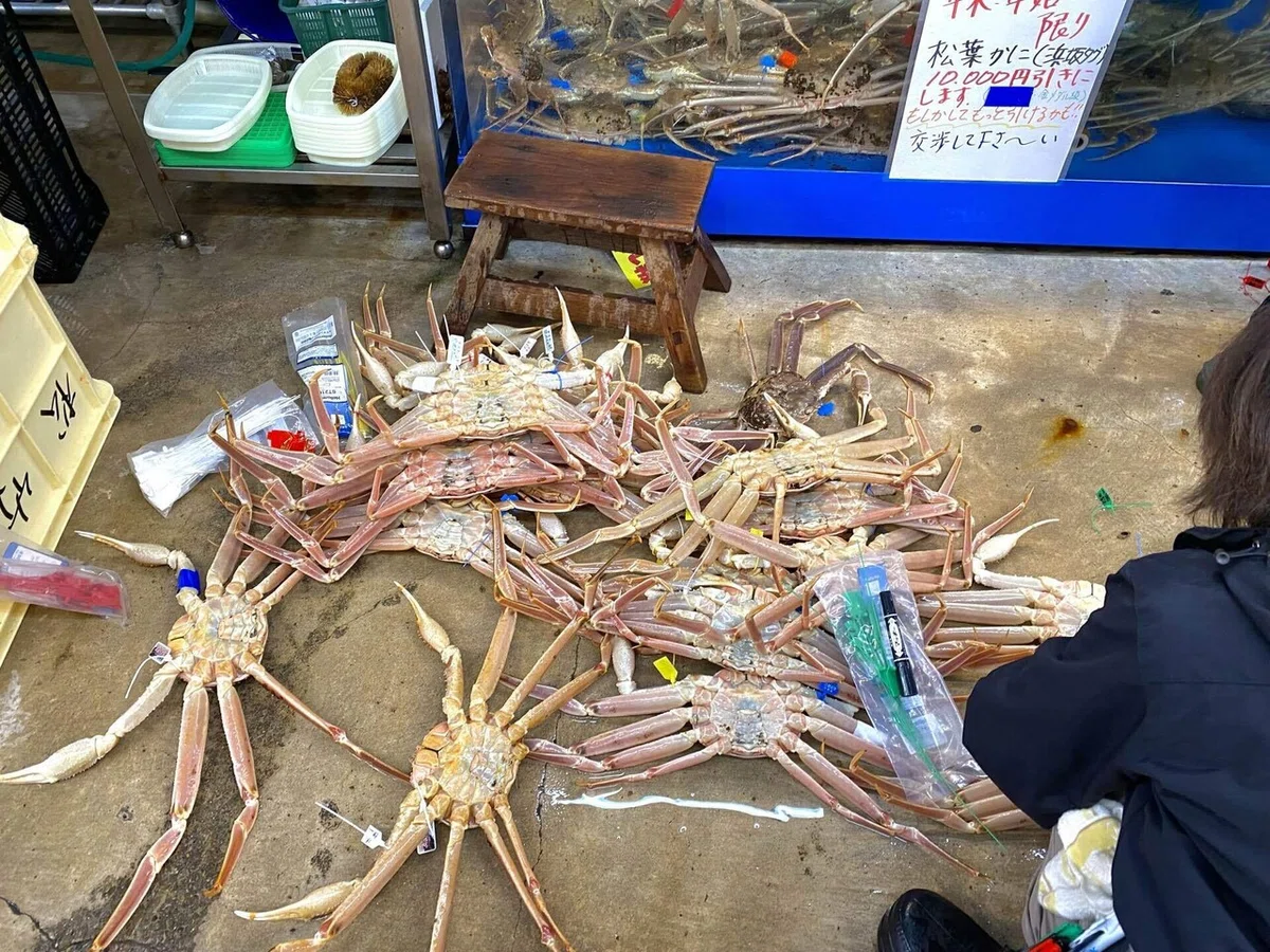 画像7