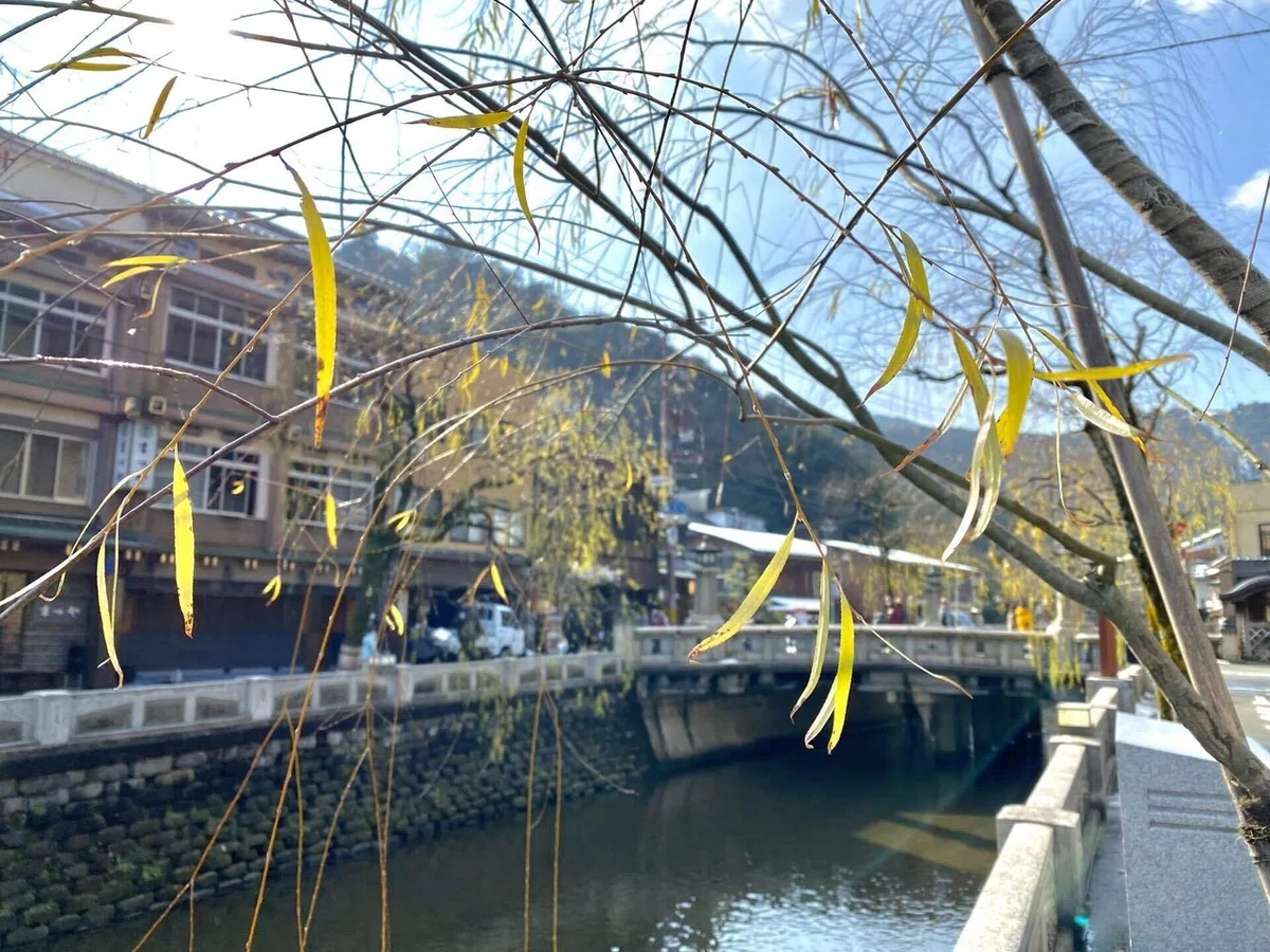 画像13
