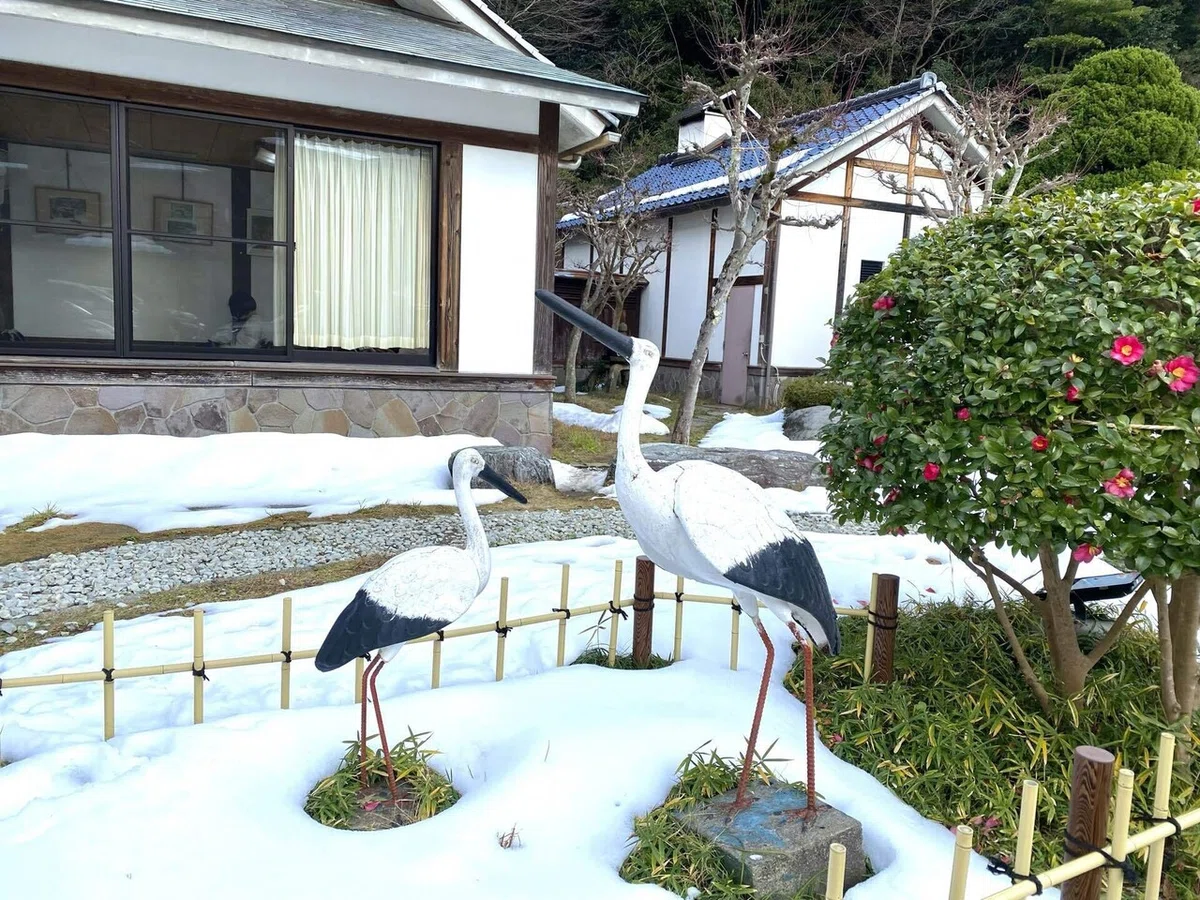画像19