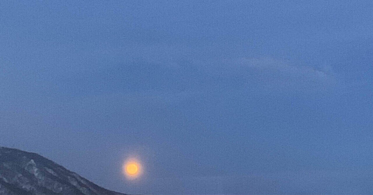 ヘアドネーションの新しいかたちマイドネーション 札幌の美容室 雨とランプ Note ヘアドネーションの新しいかたちマイドネーション 札幌の美容室 雨とランプ Note