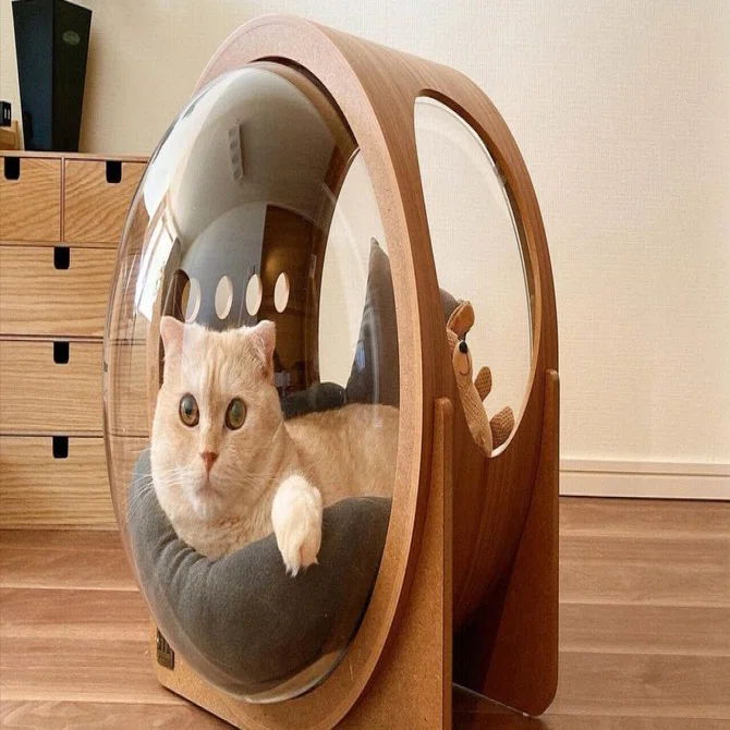 まるで宇宙船！？猫ちゃんのためのおしゃれな木製ベッド 〈 MYZOO