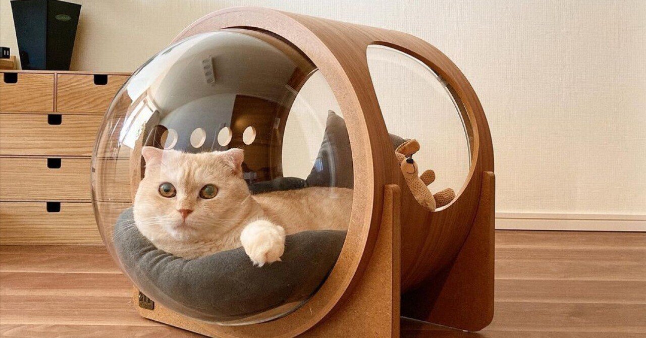 MYZOO 宇宙船シリーズ アルファ 猫用 ベッド