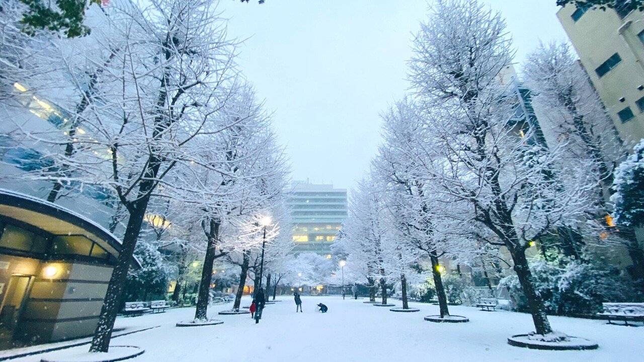 ここ関西は寒くても陽射しがありますが 東京大雪ですね 見慣れているはずの日本橋や日比谷も白銀の世界となっている様子がtwitterなどに溢れています 雪の中歩く方 車を走らせている方 どうぞお気をつけ なつまま フリーランス看護師 32万pv感謝 Note ここ関西は寒くても陽射しがありますが 東京大雪ですね 見慣れているはずの日本橋や日比谷も白銀の世界となっている様子がtwitterなどに溢れています 雪の中歩く方 車を走らせている方 どうぞお気をつけ なつまま フリーランス看護師 32万pv感謝 Note