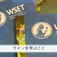 WSET Level 3対策】WSET level 2を英語で受講｜ワインを学ぶこと