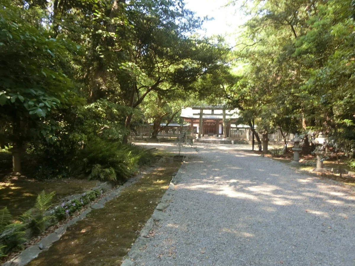 画像2