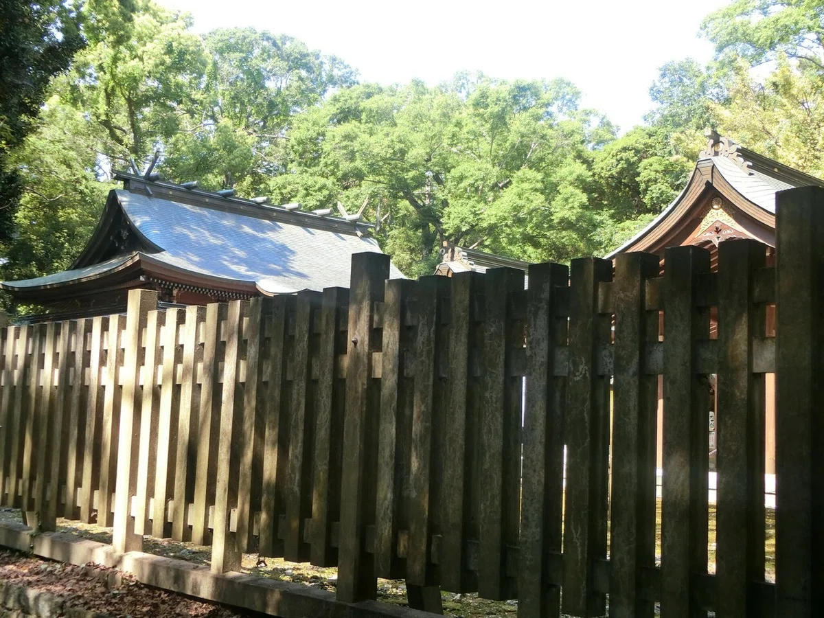 画像5