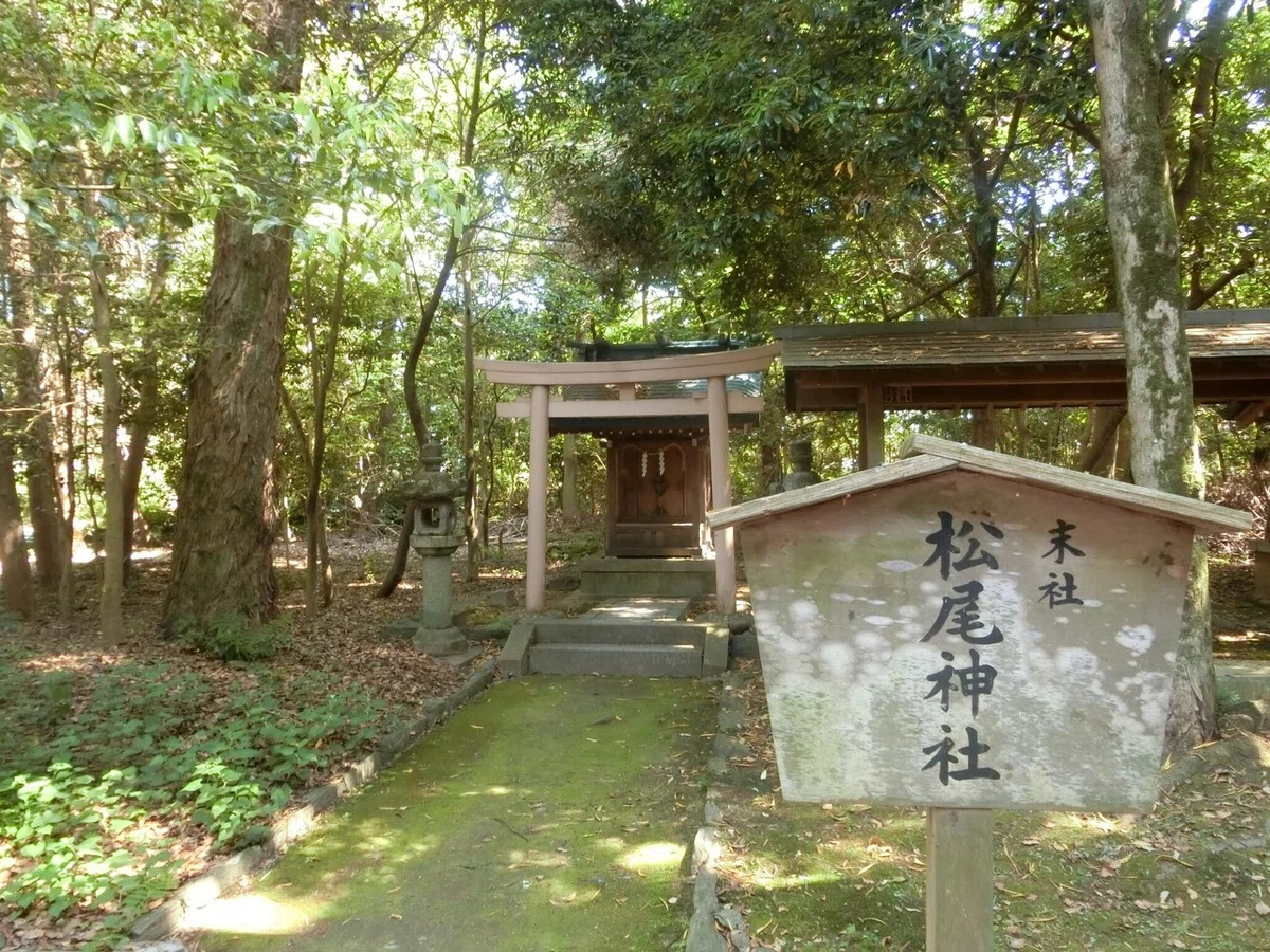 画像6