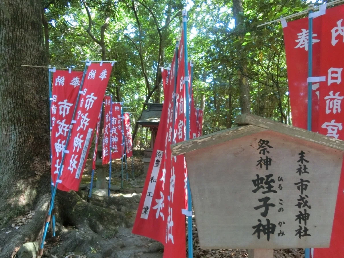 画像7