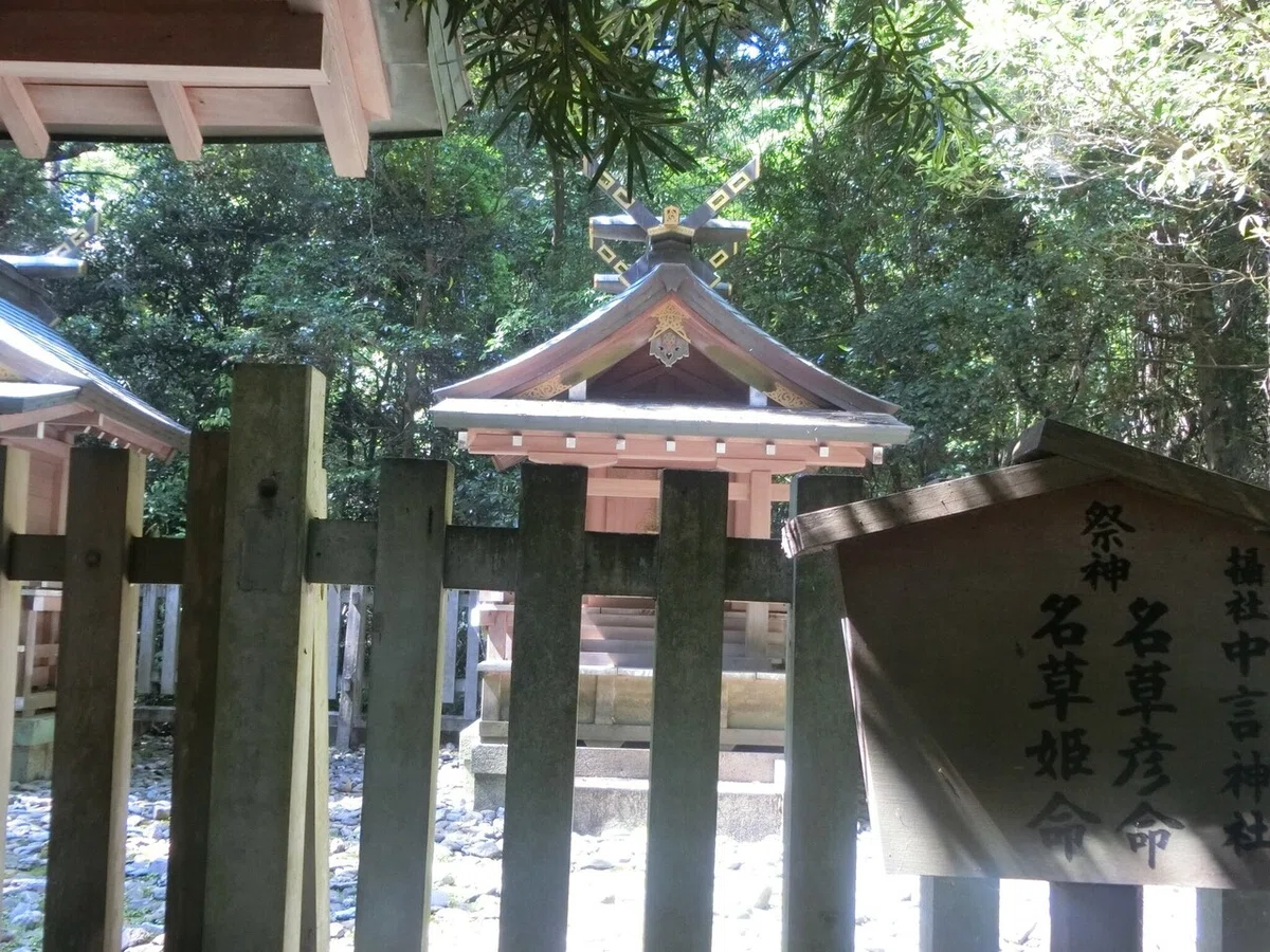 画像8