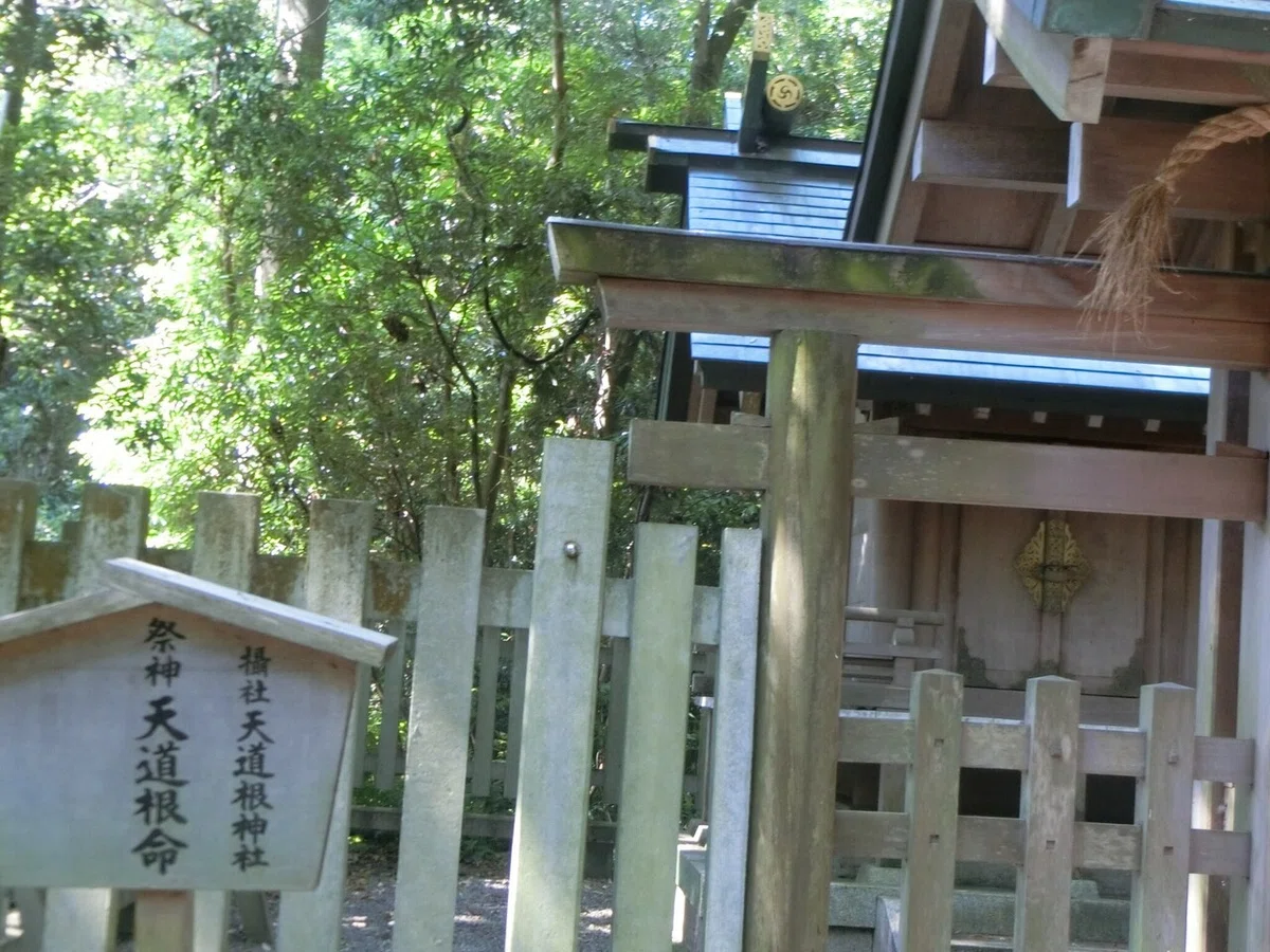 画像9