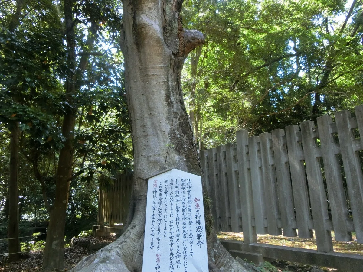 画像12