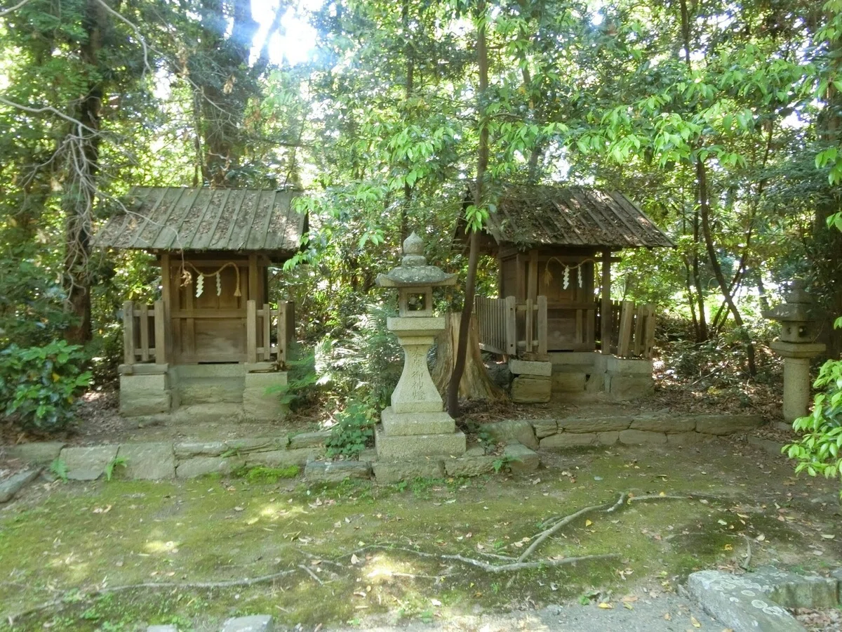 画像13
