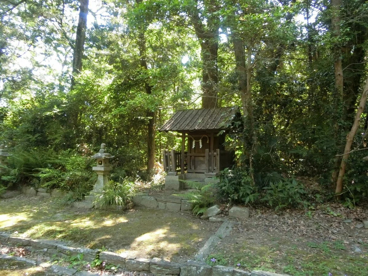画像14