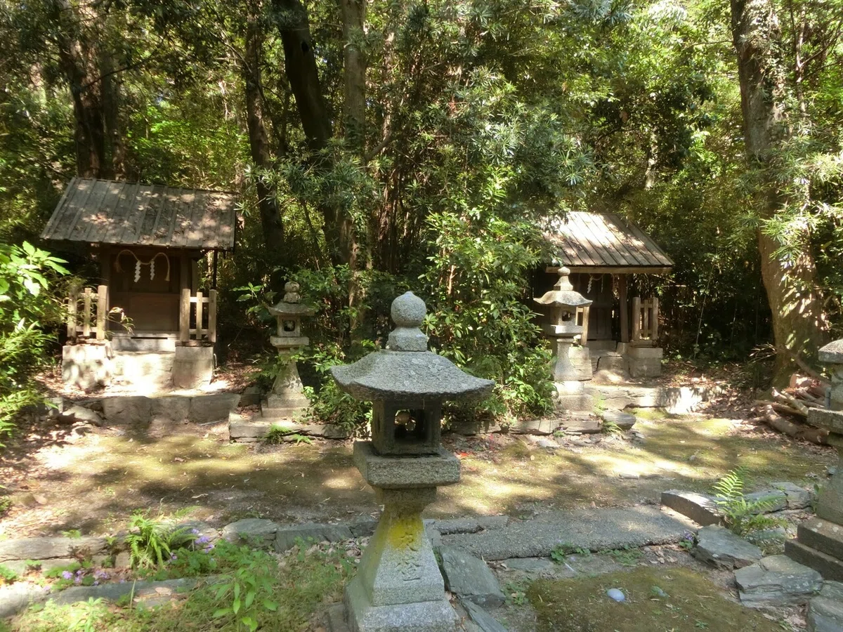 画像15