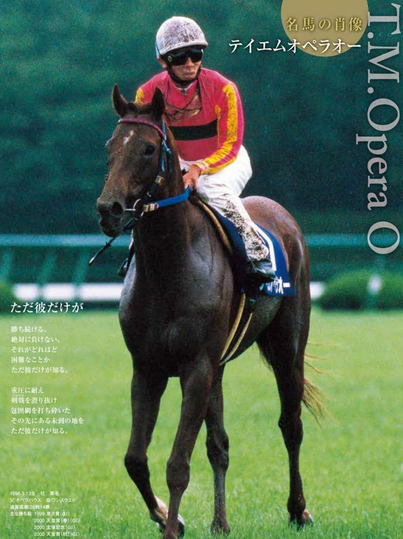 宝塚記念大反省会|サイン馬券で万馬券を狙え!Fake Winner 宝塚記念大反省会|サイン馬券で万馬券を狙え!Fake Winner