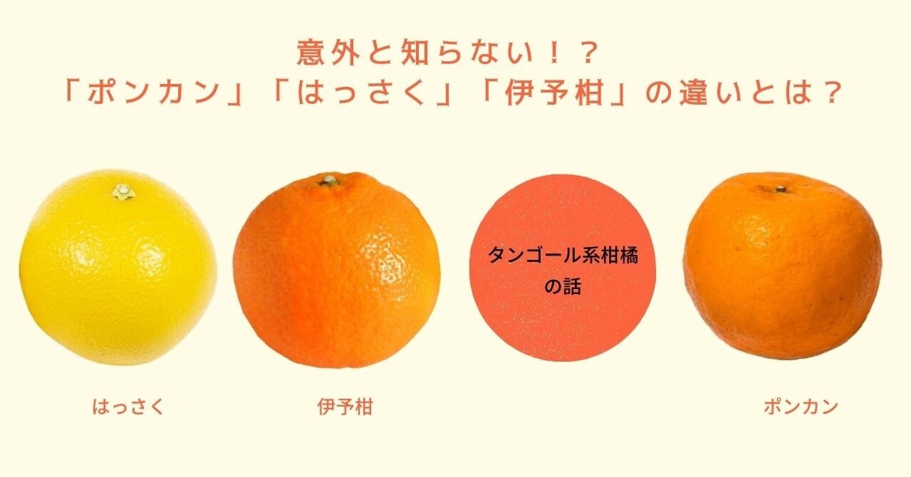 意外と知らない ポンカン はっさく 伊予柑の違いとは ミサキ フルーツ伝道師 Note