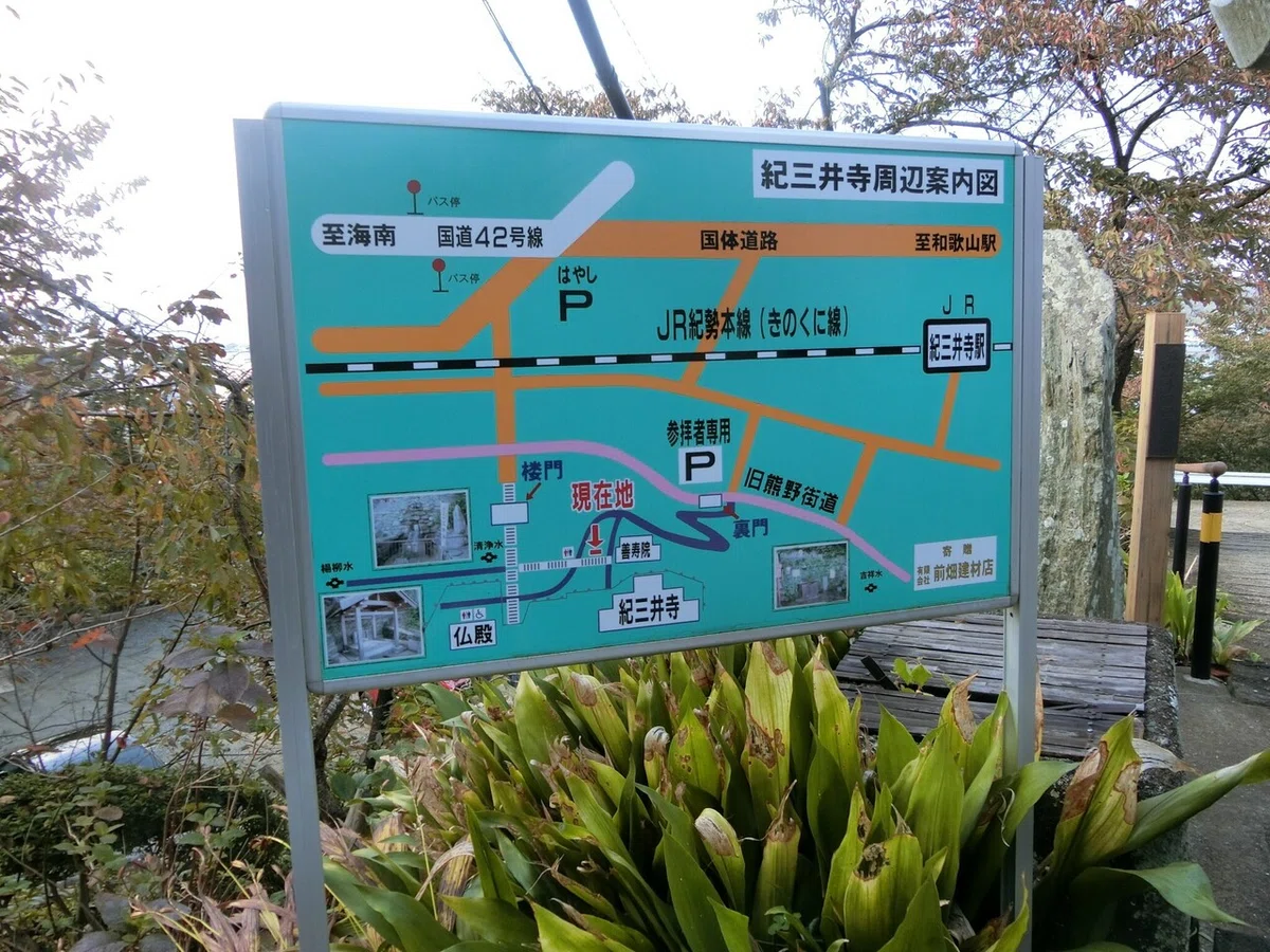 画像13