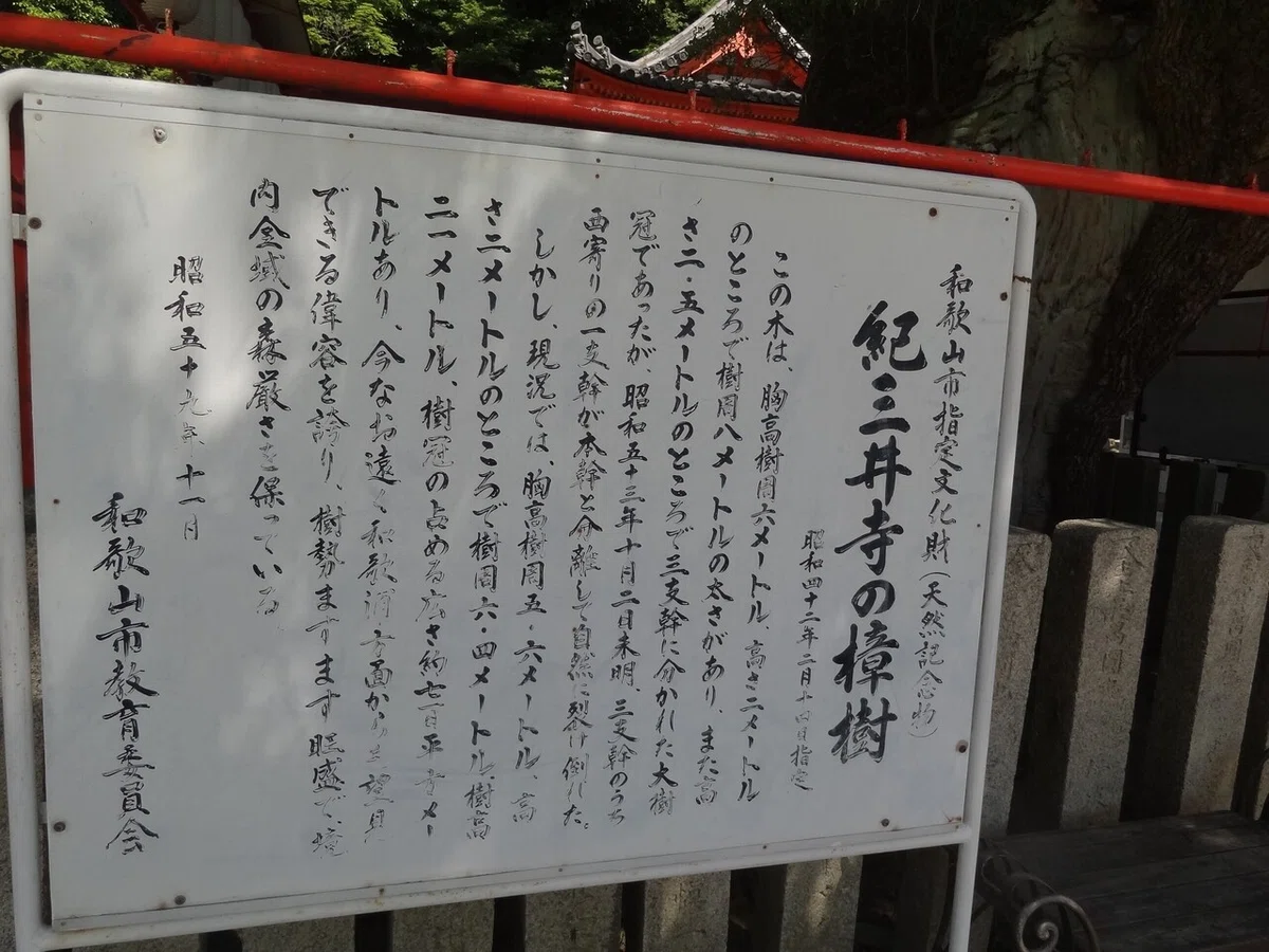 画像20