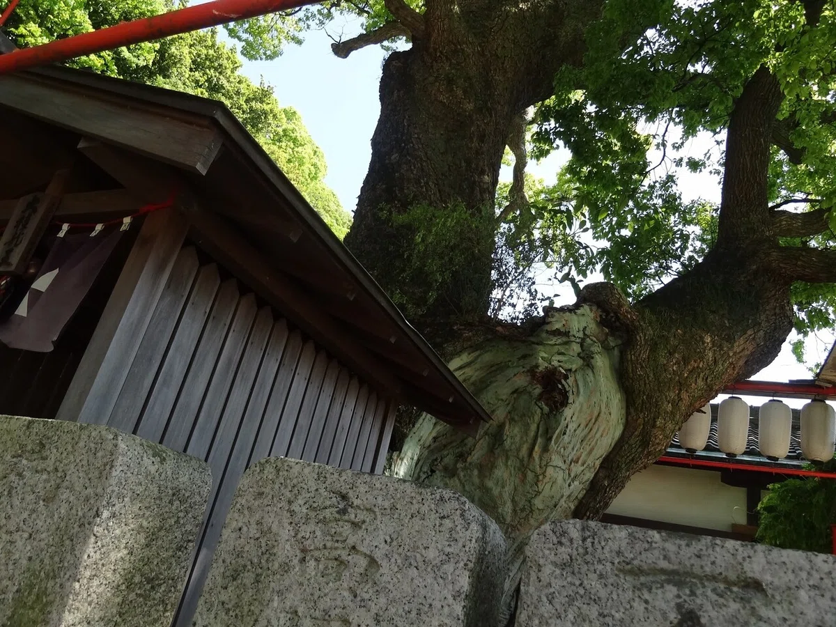 画像21