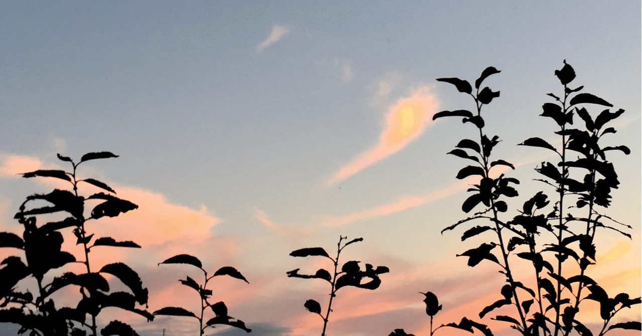 百人一首むすめふさほせ 寂しさに宿を立ち出でてながむればいづこも