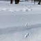 九番柱