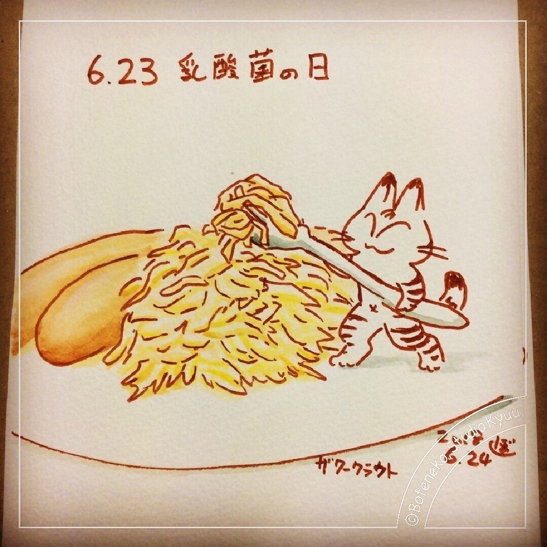 ラフ画 乳酸菌の日 6月 ぼて猫 スタジオきゅう Note