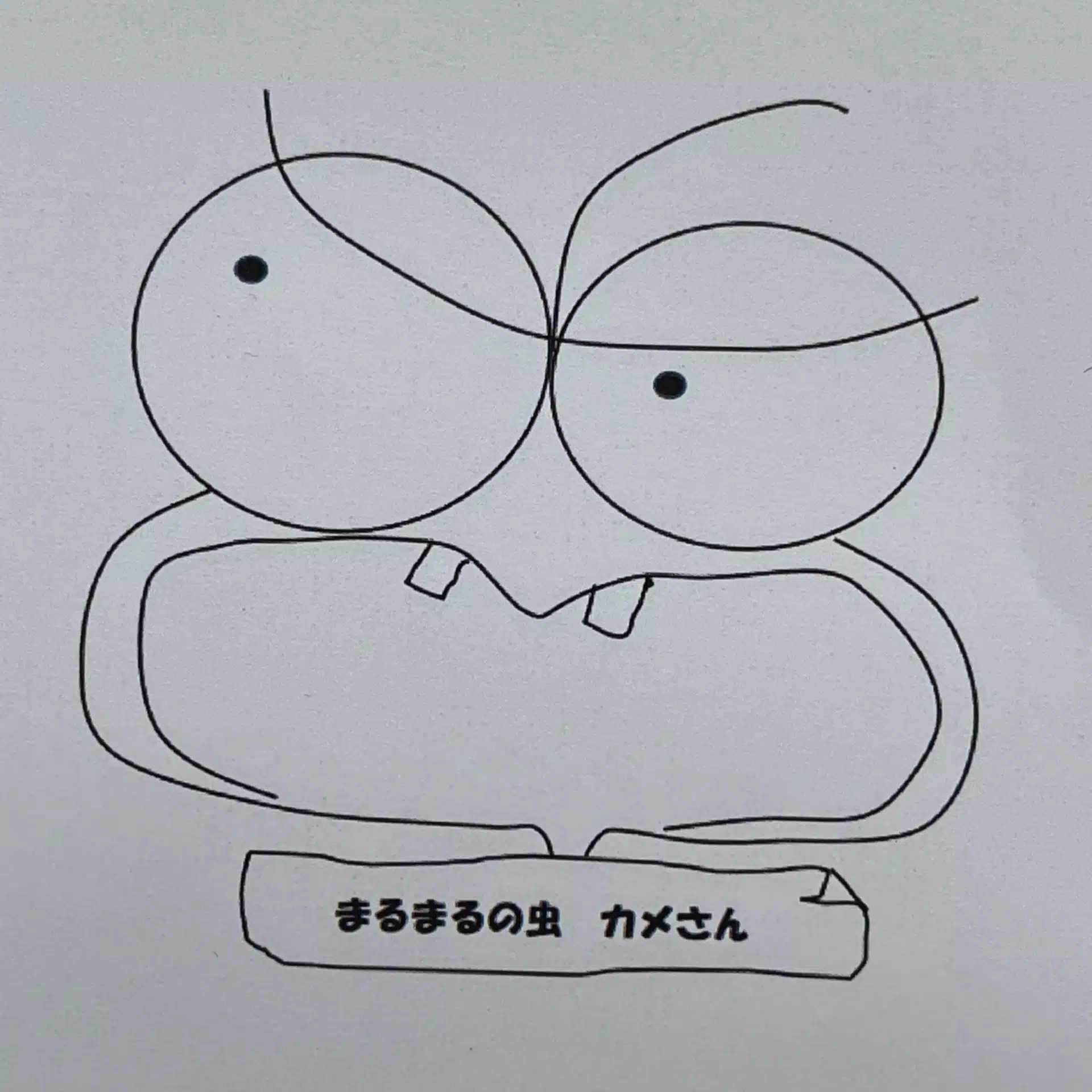 まるまるの虫　カメさん