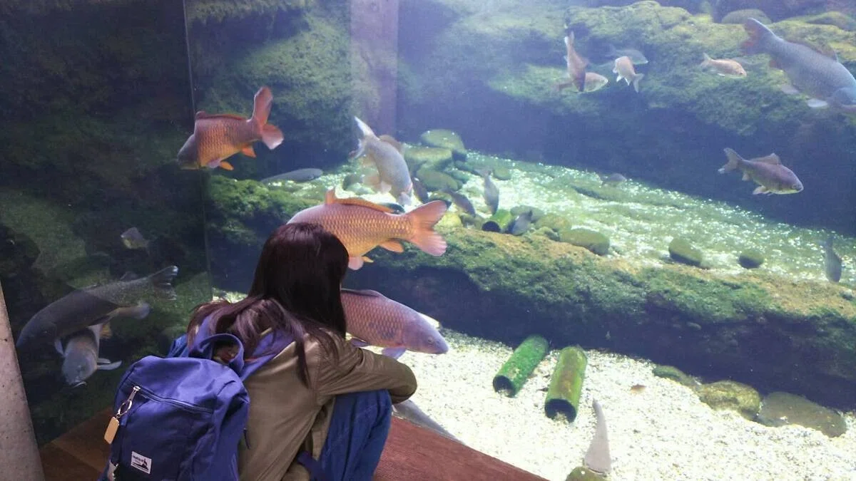 画像6