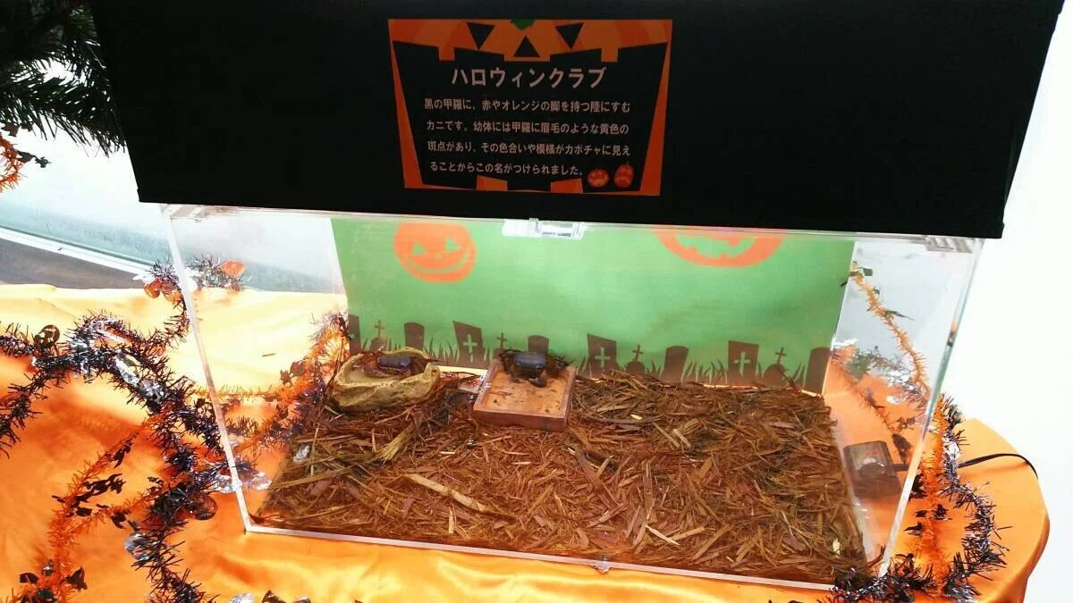 画像19