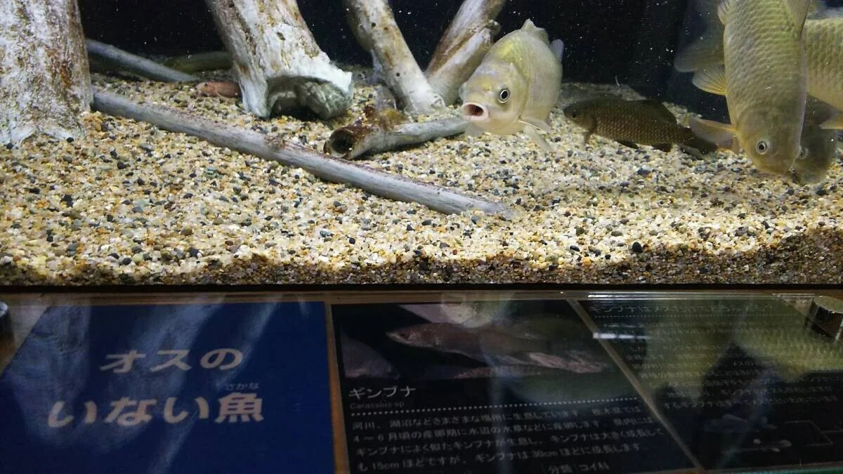 画像16