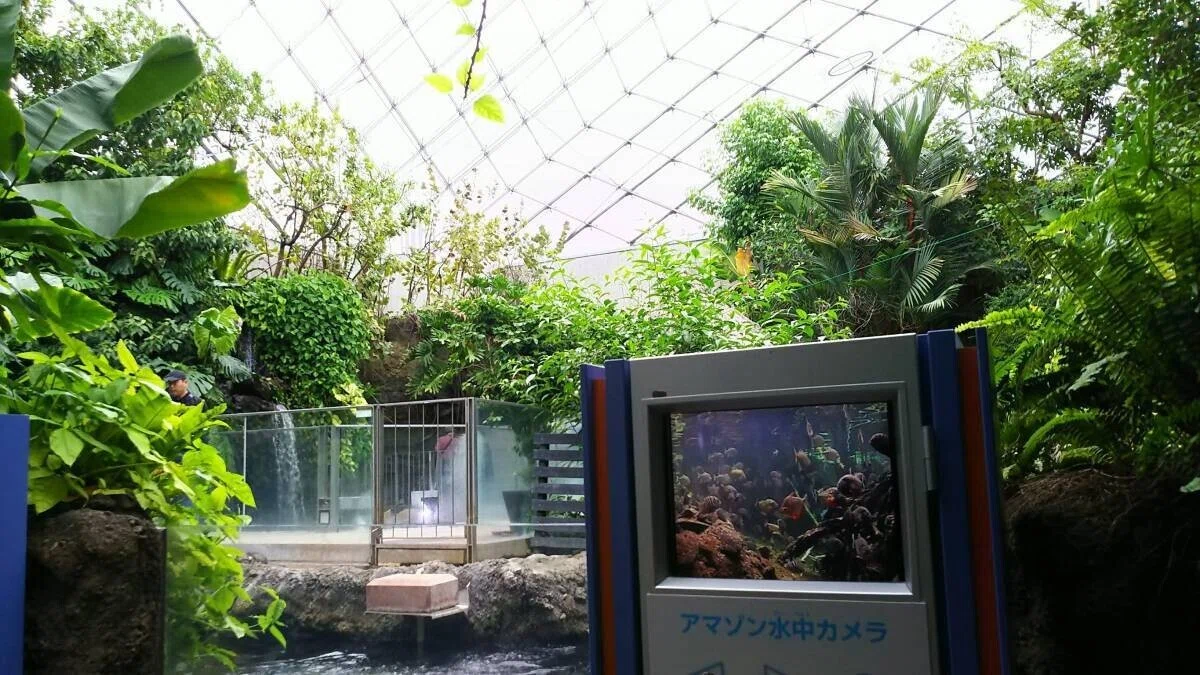 画像29