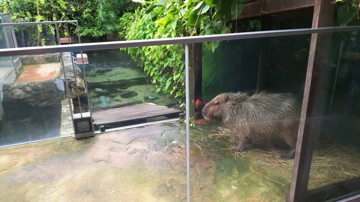 画像37