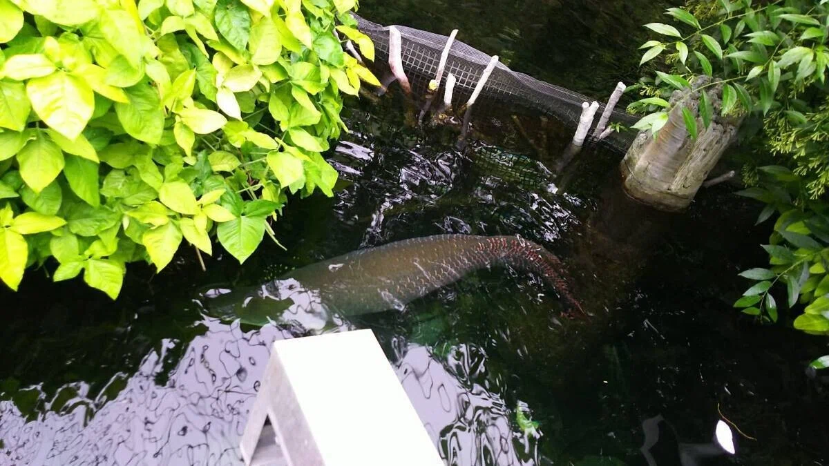 画像38