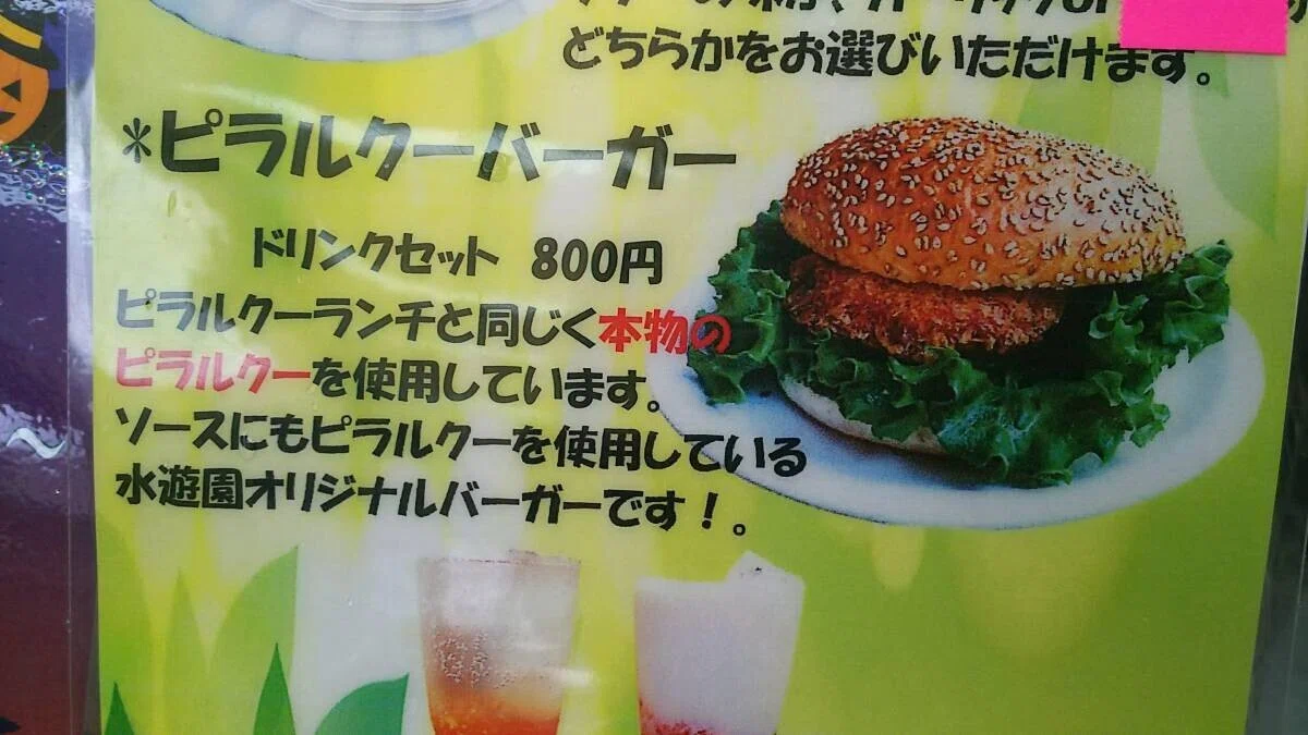 画像44