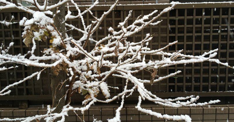 興奮して雪の中