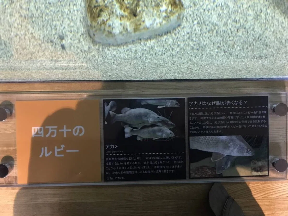 画像64