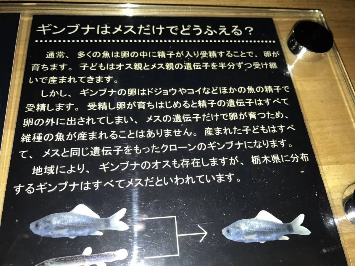 画像75