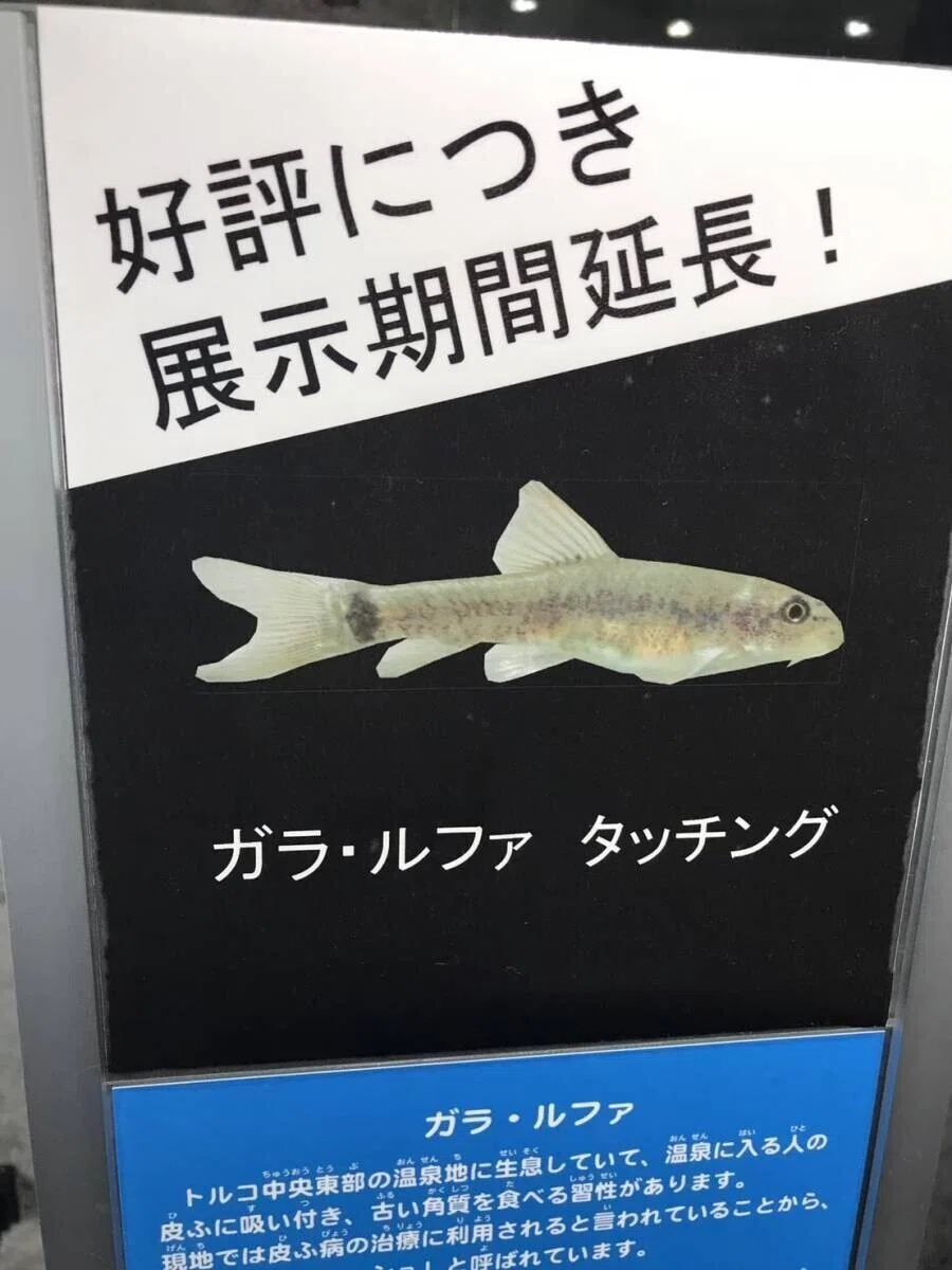 画像78