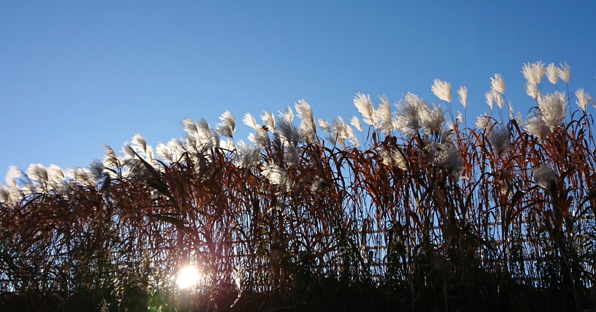 a119e06c9821d395b05c809af558bf