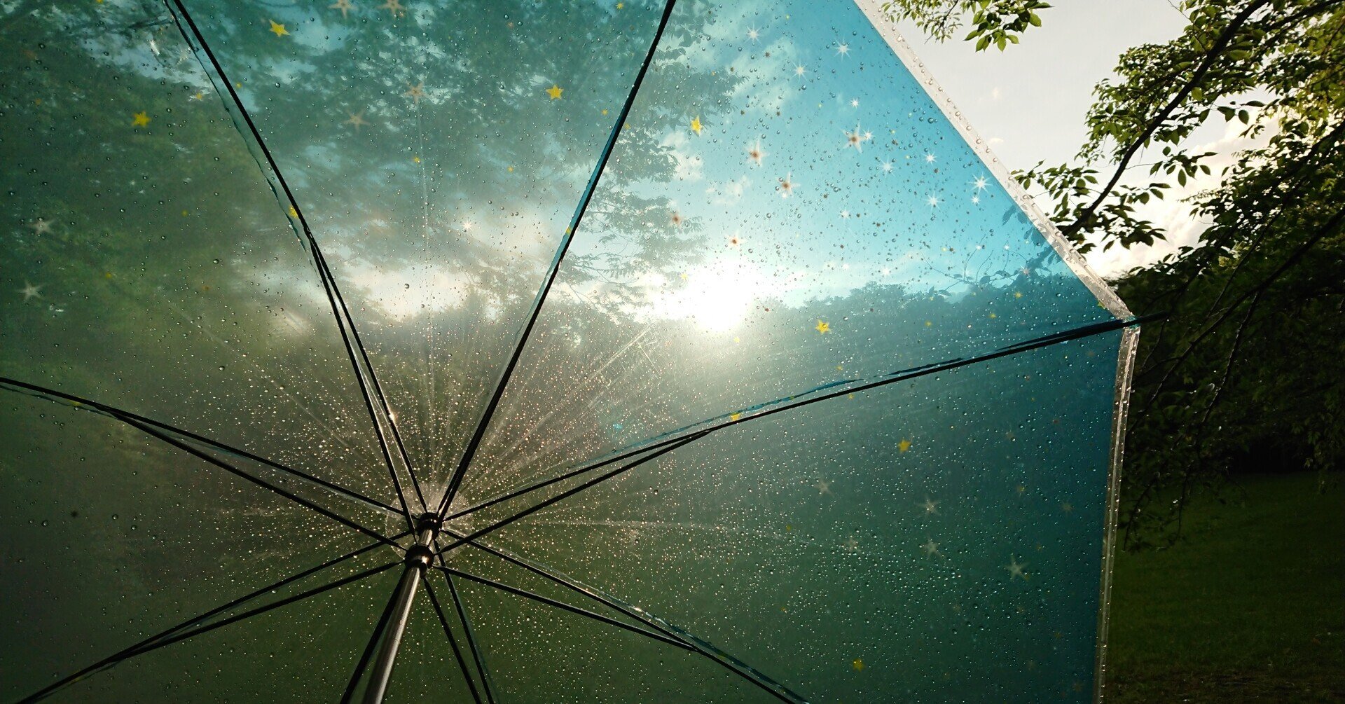 寄る辺ない存在に慈しみの雨を Sekai No Owari Umbrella と私の過去 宙の音 Note 寄る辺ない存在に慈しみの雨を Sekai No Owari Umbrella と私の過去 宙の音 Note