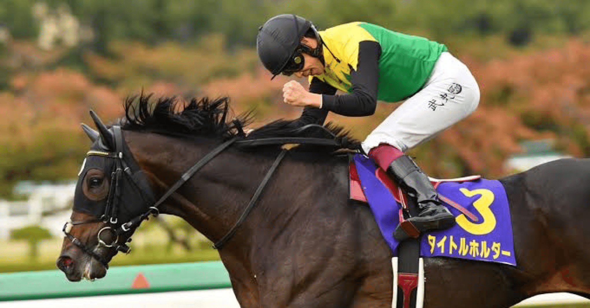 競馬 タイトルホルダー菊花賞勝利記念ジャケット