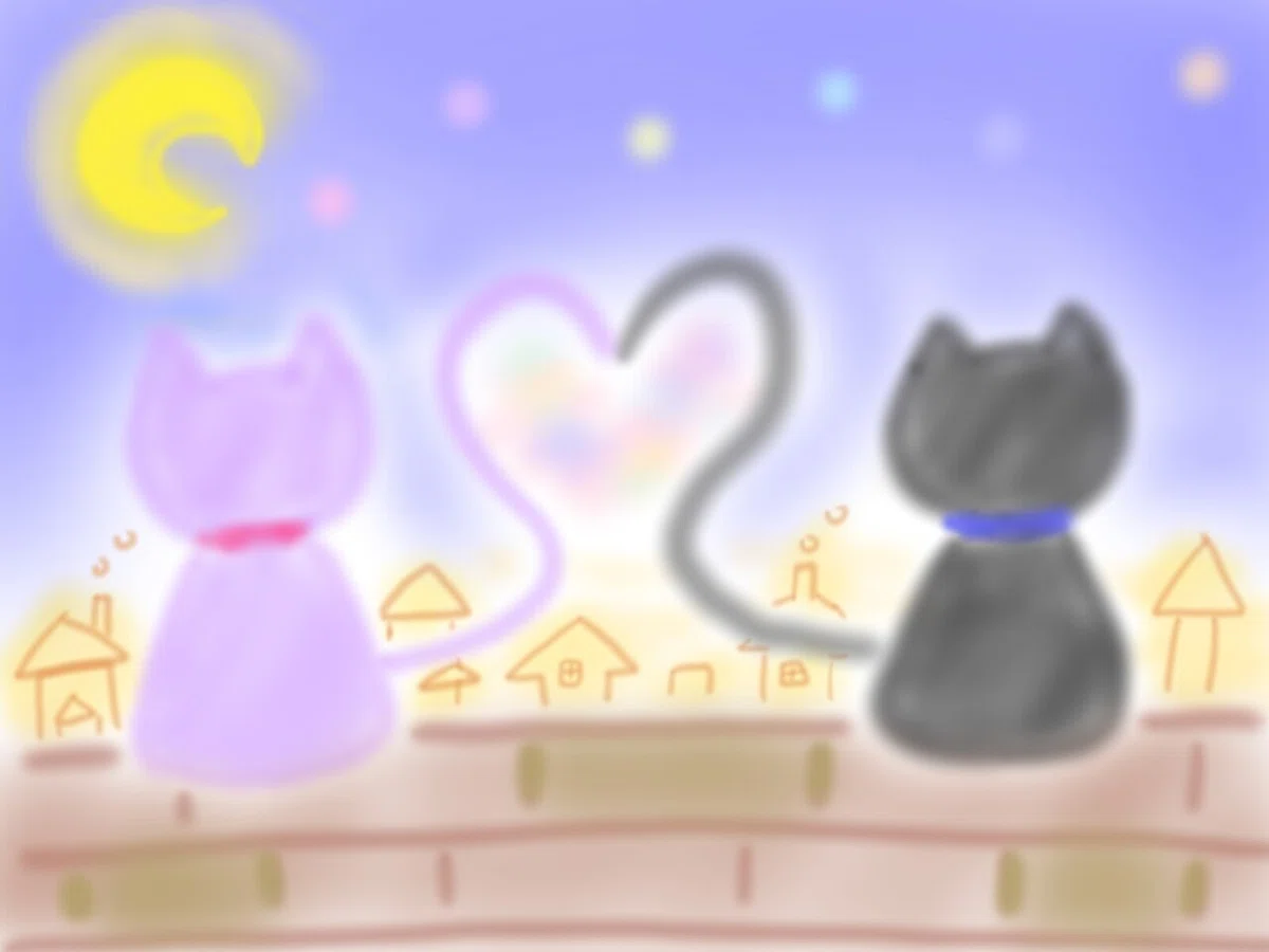 小さな猫の恋