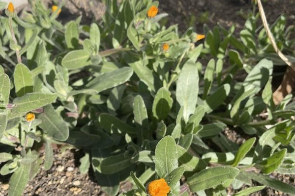 冬知らず の新着タグ記事一覧 Note つくる つながる とどける 冬知らず の新着タグ記事一覧 Note つくる つながる とどける